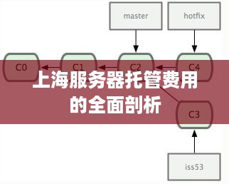 上海服务器托管费用的全面剖析