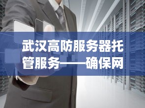 武汉高防服务器托管服务——确保网络安全防护的坚实后盾