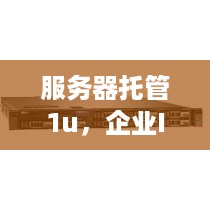 服务器托管1u，企业IT的稳固之基