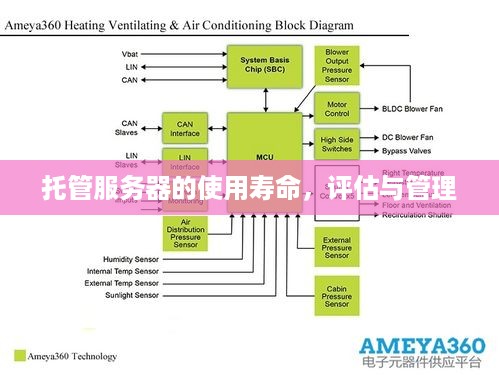 托管服务器的使用寿命，评估与管理