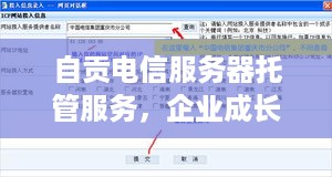 自贡电信服务器托管服务，企业成长的加速器