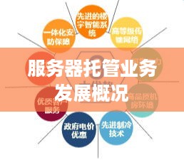 服务器托管业务发展概况