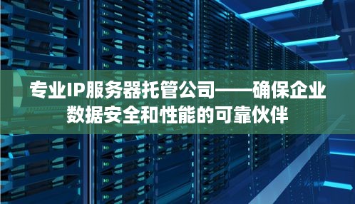 专业IP服务器托管公司——确保企业数据安全和性能的可靠伙伴