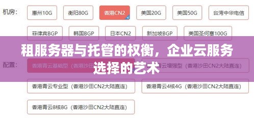 租服务器与托管的权衡，企业云服务选择的艺术