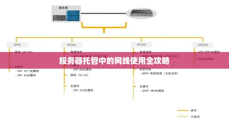 服务器托管中的网线使用全攻略