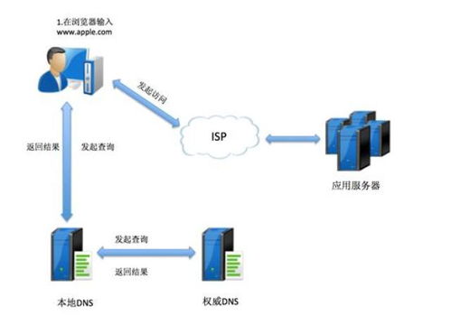 黑龙江ip服务器托管服务解析