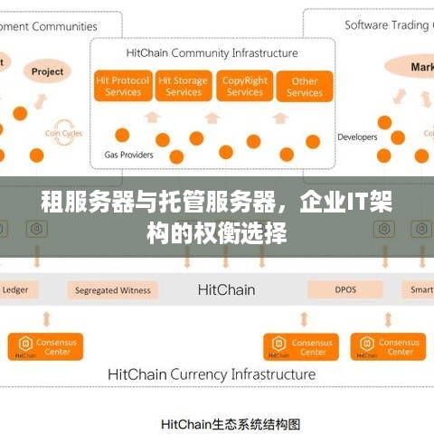 租服务器与托管服务器，企业IT架构的权衡选择