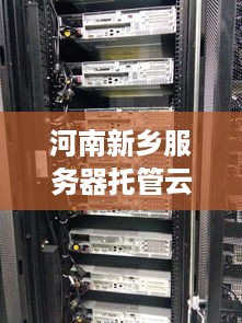 河南新乡服务器托管云主机——企业数字化转型的新动力