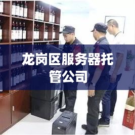 龙岗区服务器托管公司