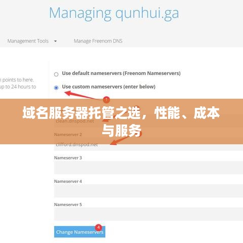 域名服务器托管之选，性能、成本与服务
