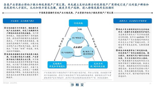 河南省托管服务器政策，数字化转型的加速器