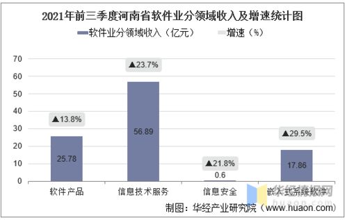 河南省托管服务器申请，高效管理与信息安全的双刃剑