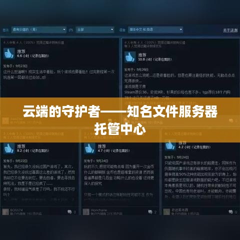 云端的守护者——知名文件服务器托管中心