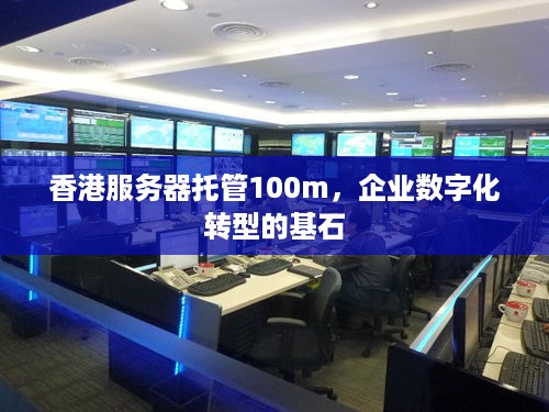 香港服务器托管100m，企业数字化转型的基石