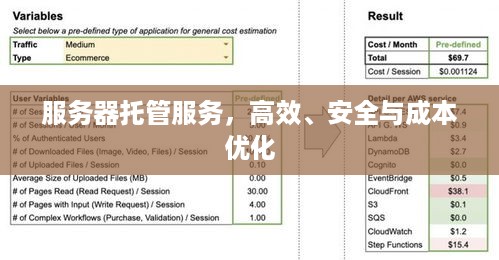 服务器托管服务，高效、安全与成本优化