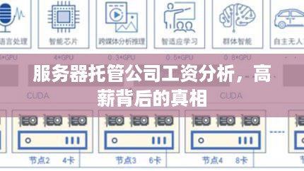 服务器托管公司工资分析，高薪背后的真相