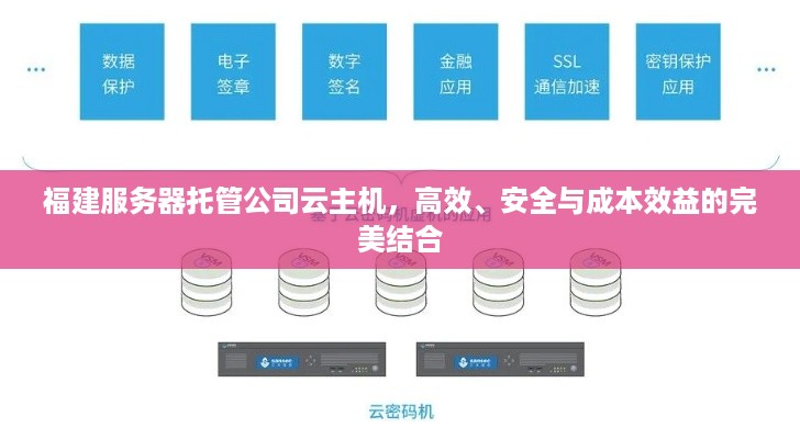 福建服务器托管公司云主机，高效、安全与成本效益的完美结合