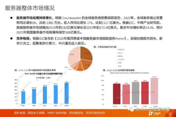 全球服务器托管数据分析，洞察未来，优化服务