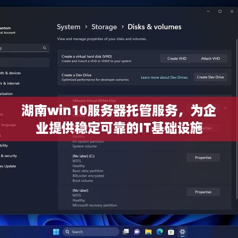 湖南win10服务器托管服务，为企业提供稳定可靠的IT基础设施