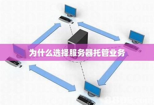 为什么选择服务器托管业务