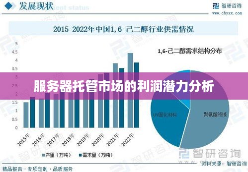 服务器托管市场的利润潜力分析