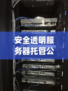 安全透明服务器托管公司的重要性及其实践