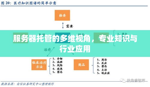 服务器托管的多维视角，专业知识与行业应用