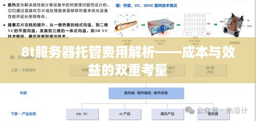 8t服务器托管费用解析——成本与效益的双重考量