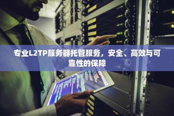 专业L2TP服务器托管服务，安全、高效与可靠性的保障