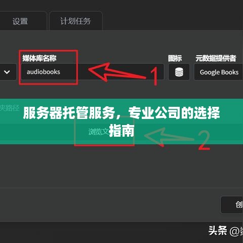 服务器托管服务，专业公司的选择指南