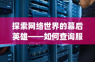 探索网络世界的幕后英雄——如何查询服务器托管商