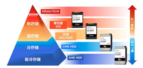 西部信息中心服务器托管——企业数字化转型的基石