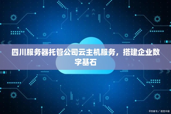 四川服务器托管公司云主机服务，搭建企业数字基石