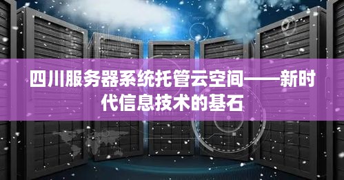 四川服务器系统托管云空间——新时代信息技术的基石