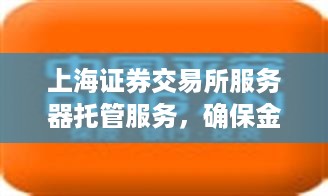 上海证券交易所服务器托管服务，确保金融交易的安全与效率