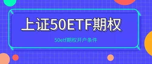 上海证券交易所服务器托管服务，确保金融交易的安全与效率