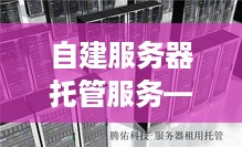 自建服务器托管服务——企业信息化发展的新引擎