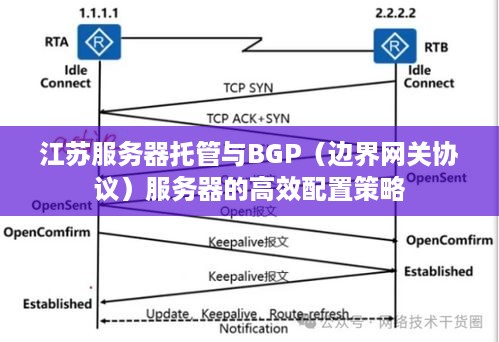 江苏服务器托管与BGP（边界网关协议）服务器的高效配置策略