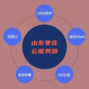 探索山东托管服务器云服务的未来