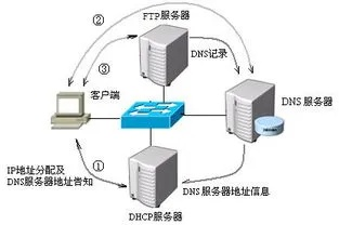 山东dns服务器托管服务详解