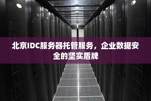 北京IDC服务器托管服务，企业数据安全的坚实盾牌