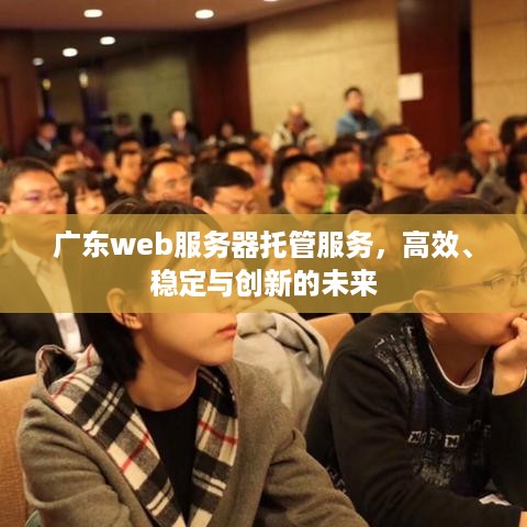 广东web服务器托管服务，高效、稳定与创新的未来