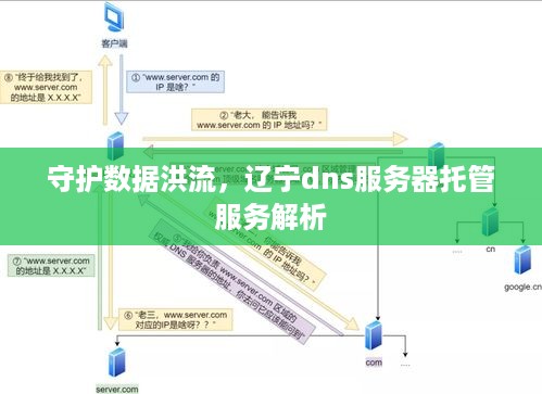 守护数据洪流，辽宁dns服务器托管服务解析