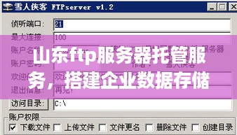 山东ftp服务器托管服务，搭建企业数据存储与传输的坚实后盾