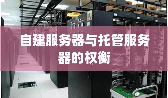 自建服务器与托管服务器的权衡