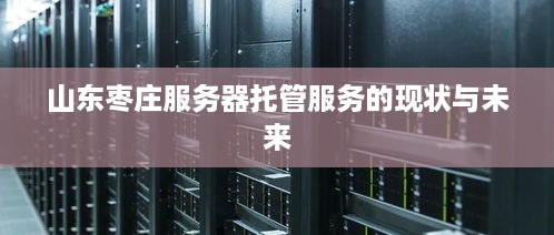 山东枣庄服务器托管服务的现状与未来