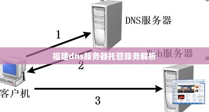 福建dns服务器托管服务解析