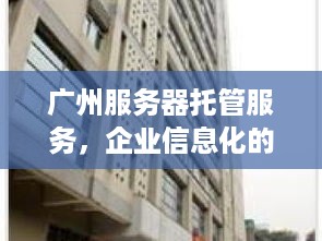 广州服务器托管服务，企业信息化的坚强后盾