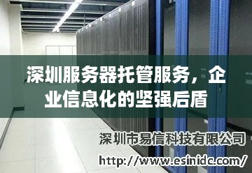 深圳服务器托管服务，企业信息化的坚强后盾