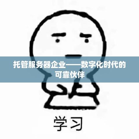 托管服务器企业——数字化时代的可靠伙伴